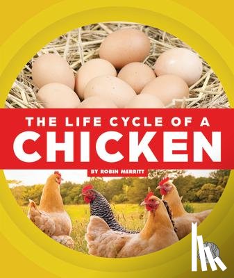 Merritt, Robin - The Life Cycle of a Chicken