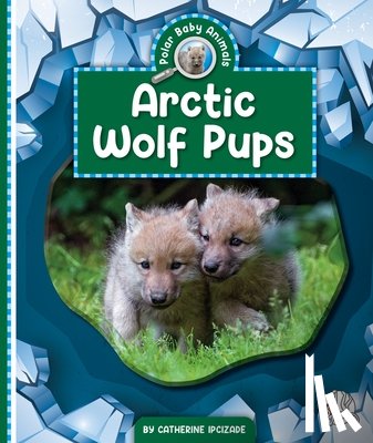Ipcizade, Catherine - Arctic Wolf Pups