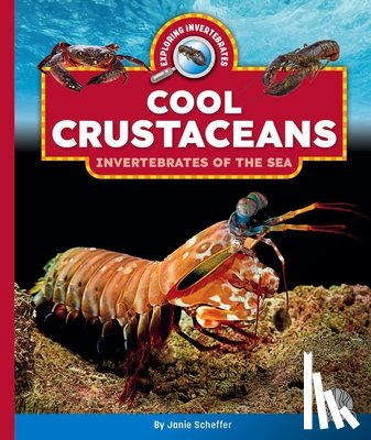 Scheffer, Janie - Cool Crustaceans: Invertebrates of the Sea