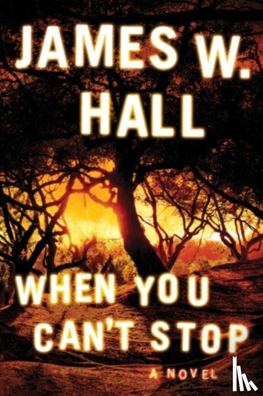 Hall, James W. - When You Can't Stop