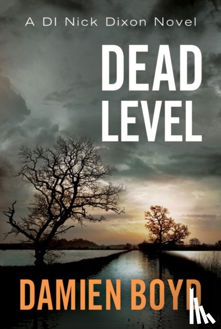 Boyd, Damien - Dead Level