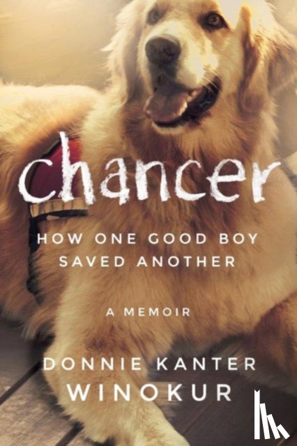 Kanter Winokur, Donnie - Chancer