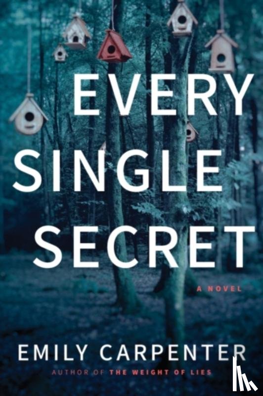 Carpenter, Emily - Every Single Secret