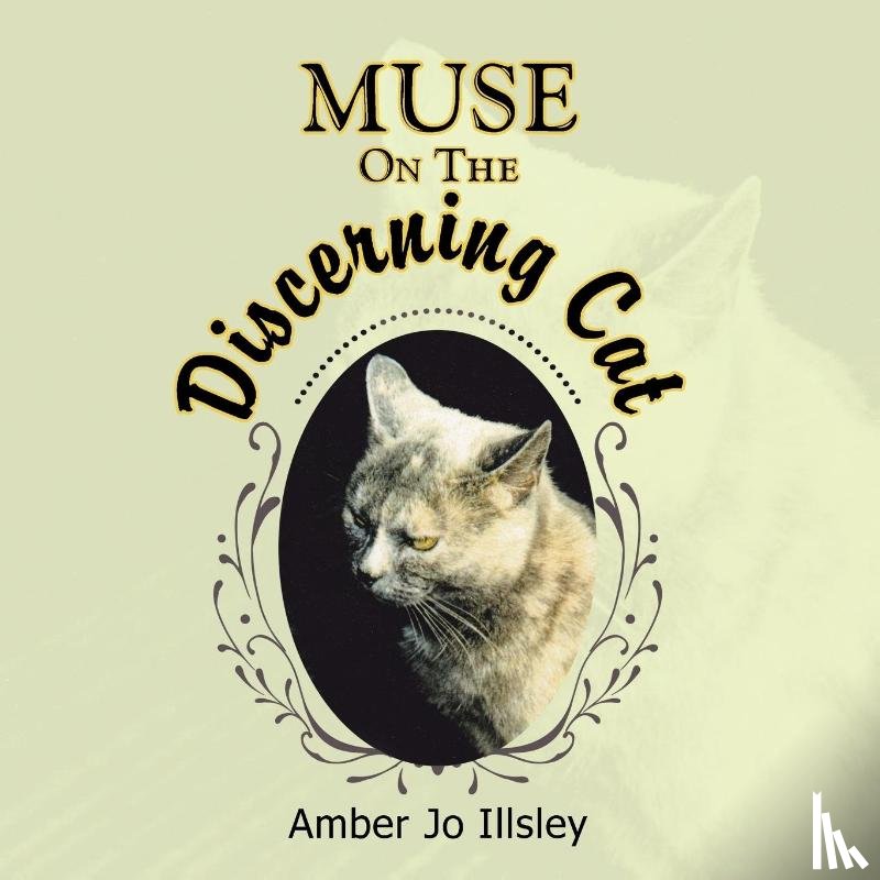 Jo Illsley, Amber - Muse On The Discerning Cat