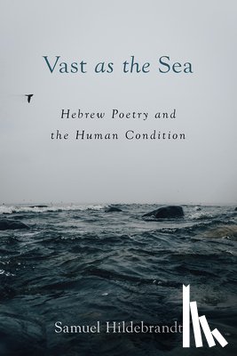 Hildebrandt, Samuel - Vast as the Sea