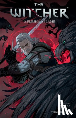 Motyka, Aleksandra - The Witcher Volume 4: Of Flesh and Flame