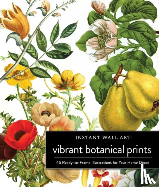 Adams Media - Instant Wall Art Vibrant Botanical Prints