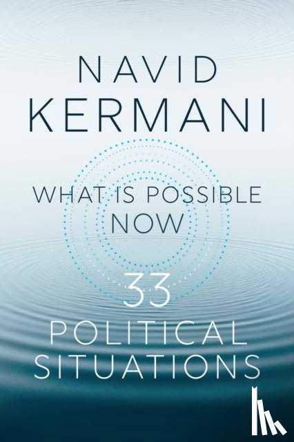 Kermani, Navid - What is Possible Now
