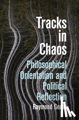 Geuss, Raymond - Tracks in Chaos