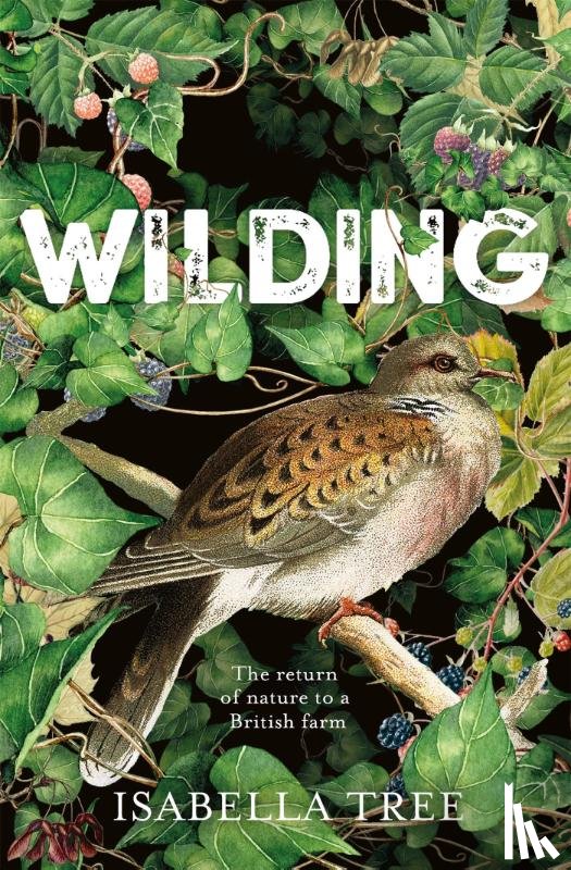 Tree, Isabella - Wilding