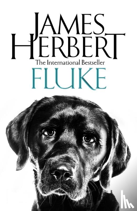 Herbert, James - Fluke