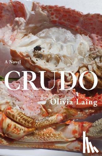 Laing, Olivia - Crudo