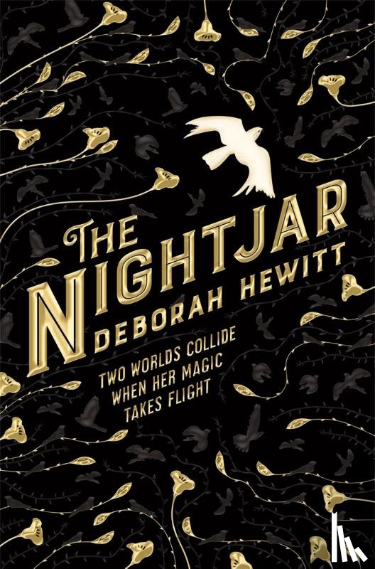 Hewitt, Deborah - The Nightjar