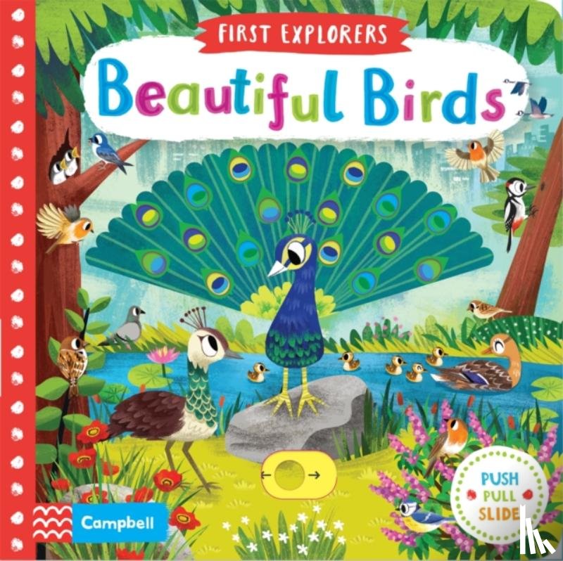 Books, Campbell - Beautiful Birds