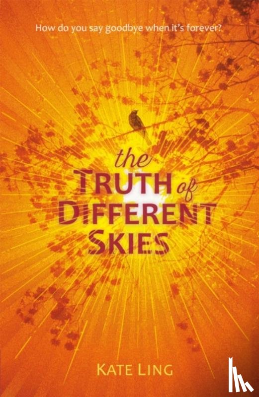 Ling, Kate - Ventura Saga: The Truth of Different Skies