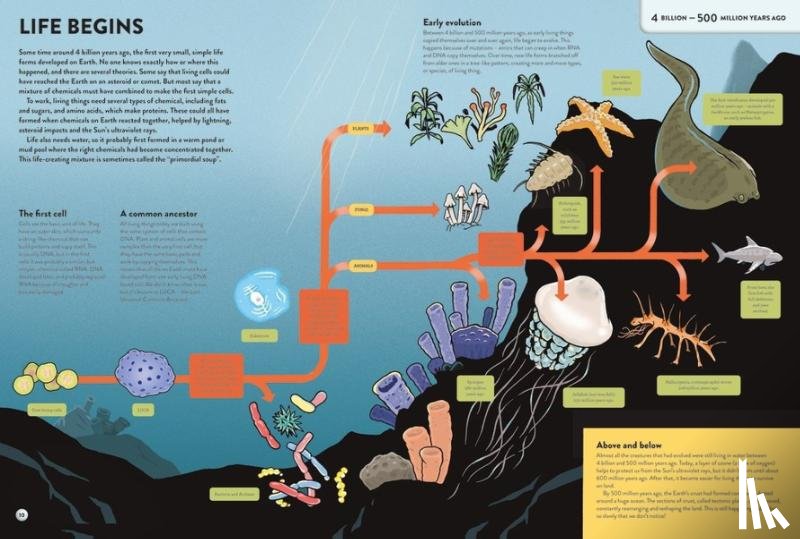 Claybourne, Anna - The History of Everything in 32 Pages
