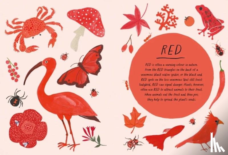 Rand, Emily - Drawn By Nature: Colours