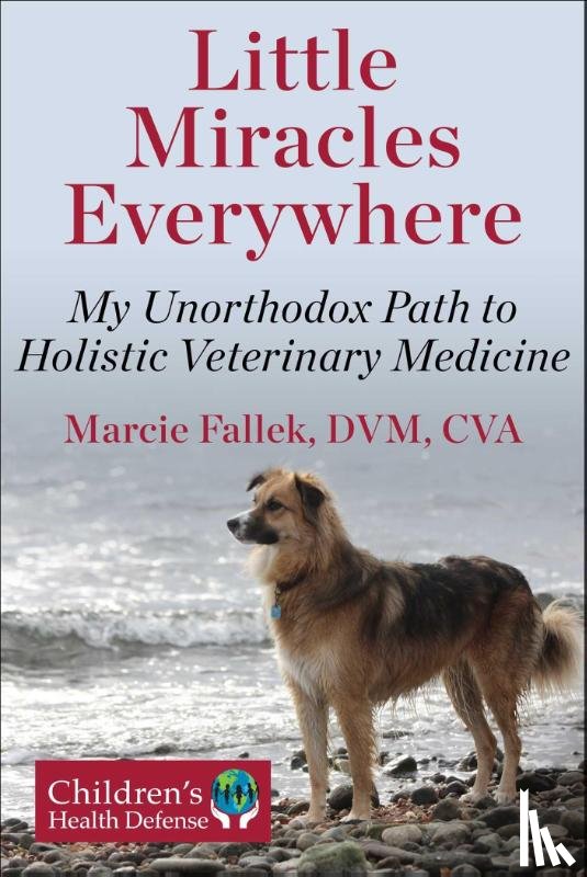 Fallek, Marcie - Little Miracles Everywhere