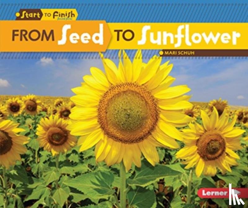 Schuh, Mari - From Seed to Sunflower