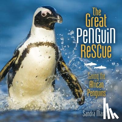 Markle, Sandra - The Great Penguin Rescue: Saving the African Penguins