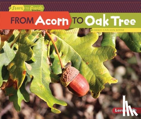 Carlson-Berne, Emma - From Acorn to Oak Tree