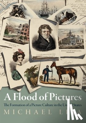 Leja, Michael - A Flood of Pictures