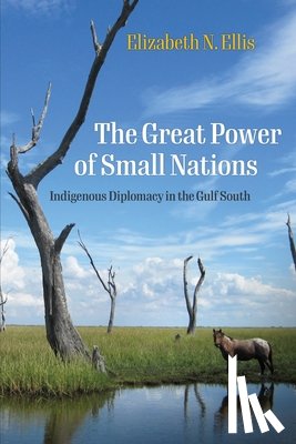 Ellis, Elizabeth N. - The Great Power of Small Nations