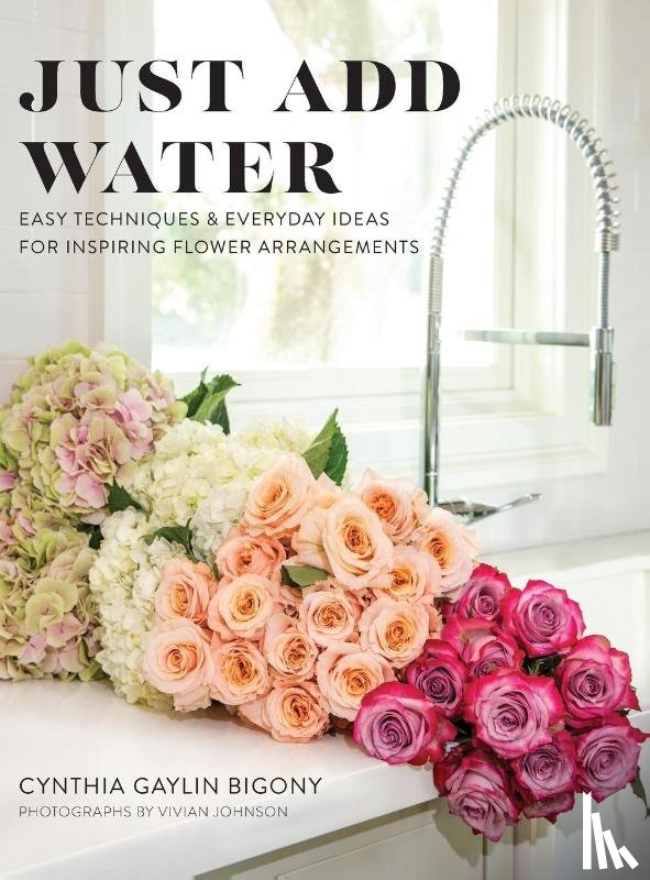 Bigony, Cynthia Gaylin - Just Add Water