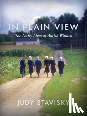 Stavisky, Judy - In Plain View: The Daily Lives of Amish Women