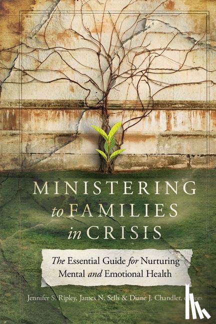  - Ministering to Families in Crisis