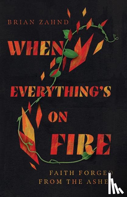 Zahnd, Brian - When Everything`s on Fire – Faith Forged from the Ashes