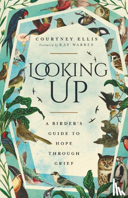 Ellis, Courtney - Looking Up