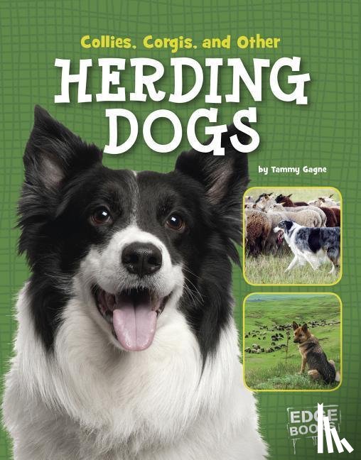 Gagne, Tammy - Collies, Corgies, and Other Herding Dogs