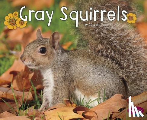 Lake, G. G. - GRAY SQUIRRELS