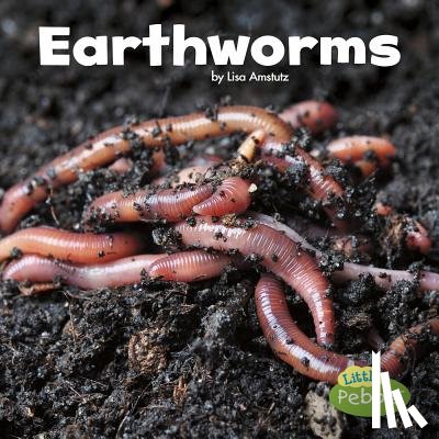 Amstutz, Lisa J - Earthworms (Little Critters)