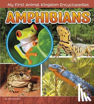 Bernay, Emma - Amphibians