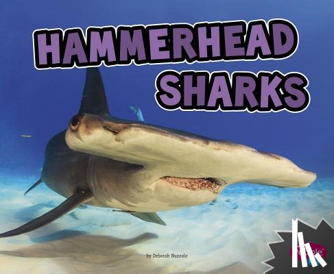 Nuzzolo, Deborah - Hammerhead Sharks