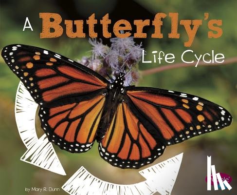 Dunn, Mary R. - A Butterfly's Life Cycle