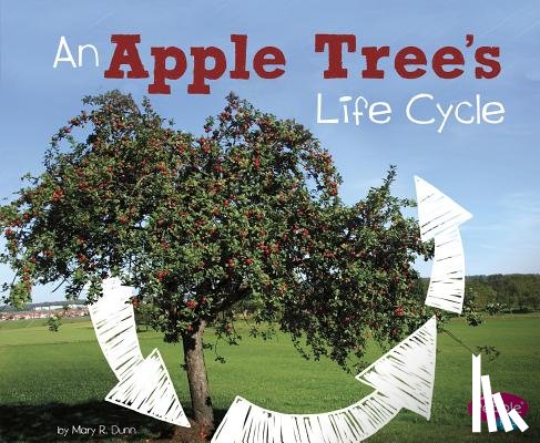 Dunn, Mary R. - An Apple Tree's Life Cycle