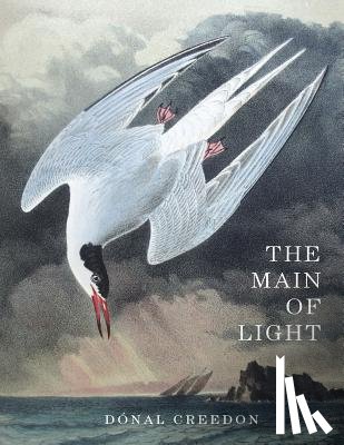 Creedon, Donal - The Main Of Light: Common Ground and Dividing Lines in the Teachings of Jiddu Krishnamurti and Buddhism