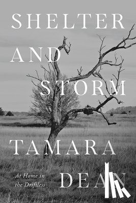 Dean, Tamara - Shelter and Storm