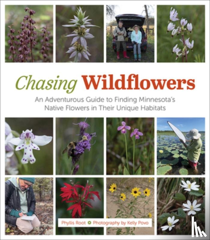 Root, Phyllis - Chasing Wildflowers