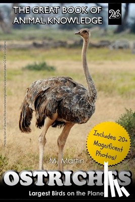 Martin, M. - Ostriches: Largest Birds on the Planet
