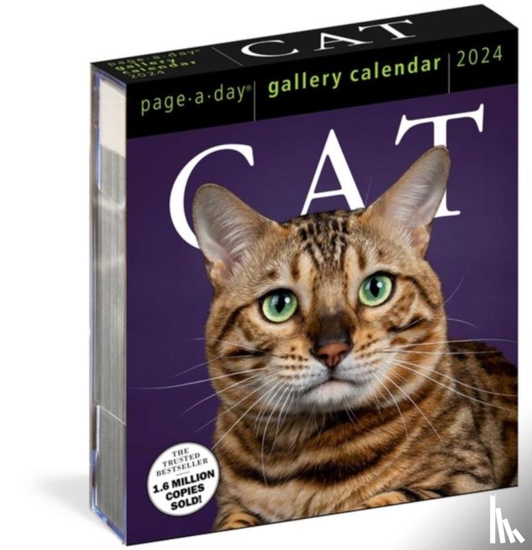 Calendars, Workman - Cat Page-A-Day Gallery Calendar 2024