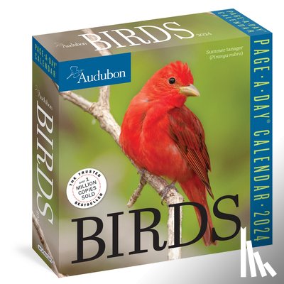 Society, National Audubon, Calendars, Workman - Audubon Birds Page-A-Day Calendar 2024