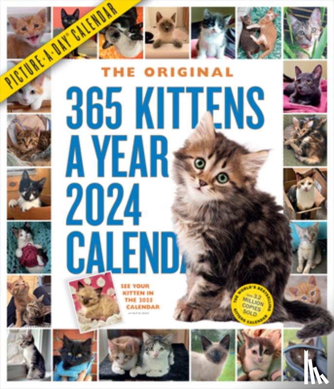 Calendars, Workman - 365 Kittens-A-Year Picture-A-Day Wall Calendar 2024