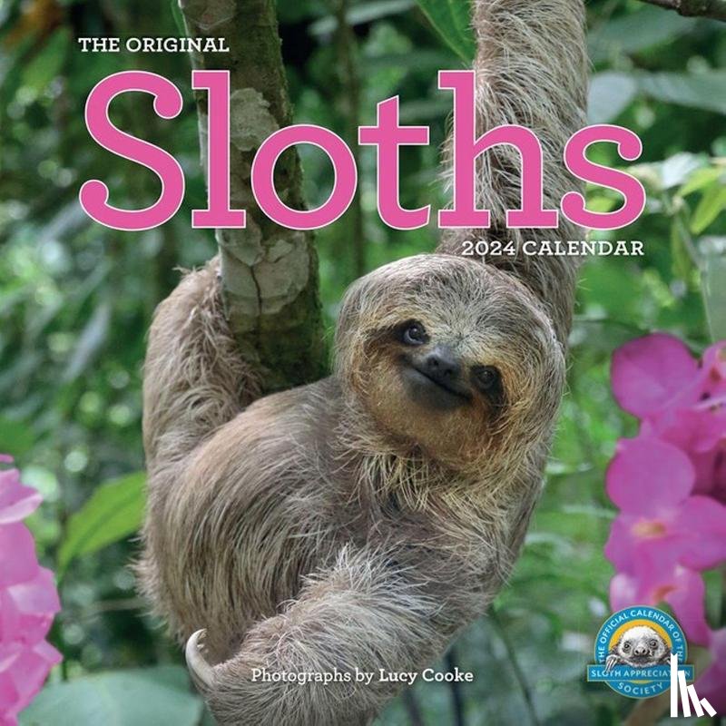 Cooke, Lucy, Calendars, Workman - Original Sloths Wall Calendar 2024