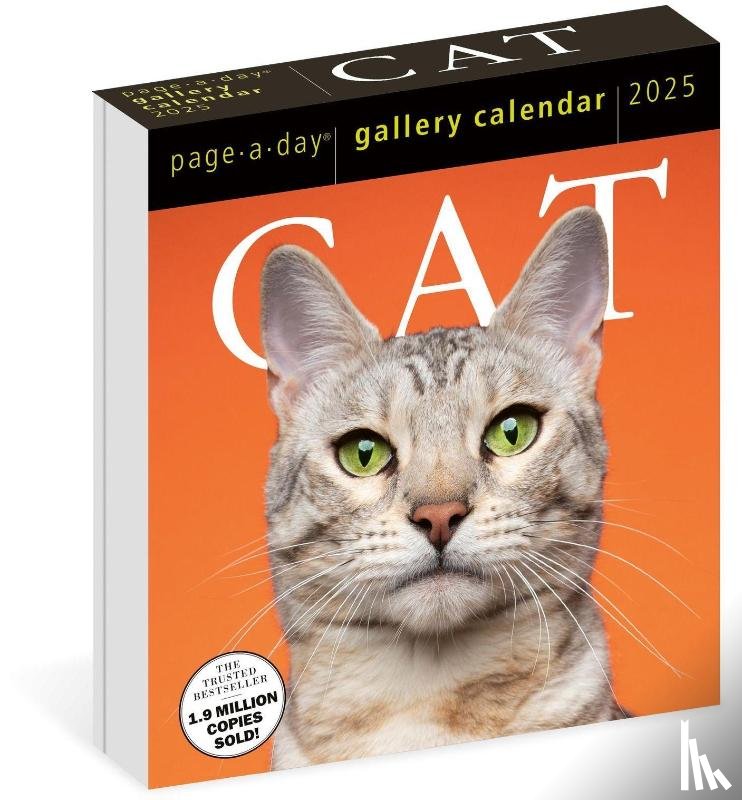 Calendars, Workman - Cat Page-A-Day® Gallery Calendar 2025