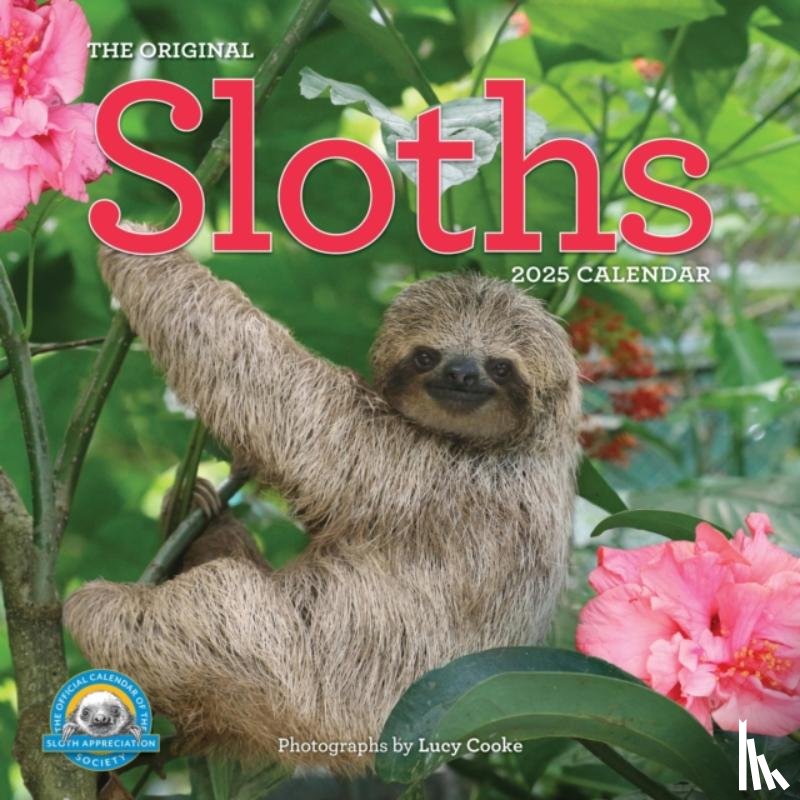 Cooke, Lucy, Calendars, Workman - Original Sloths Wall Calendar 2025