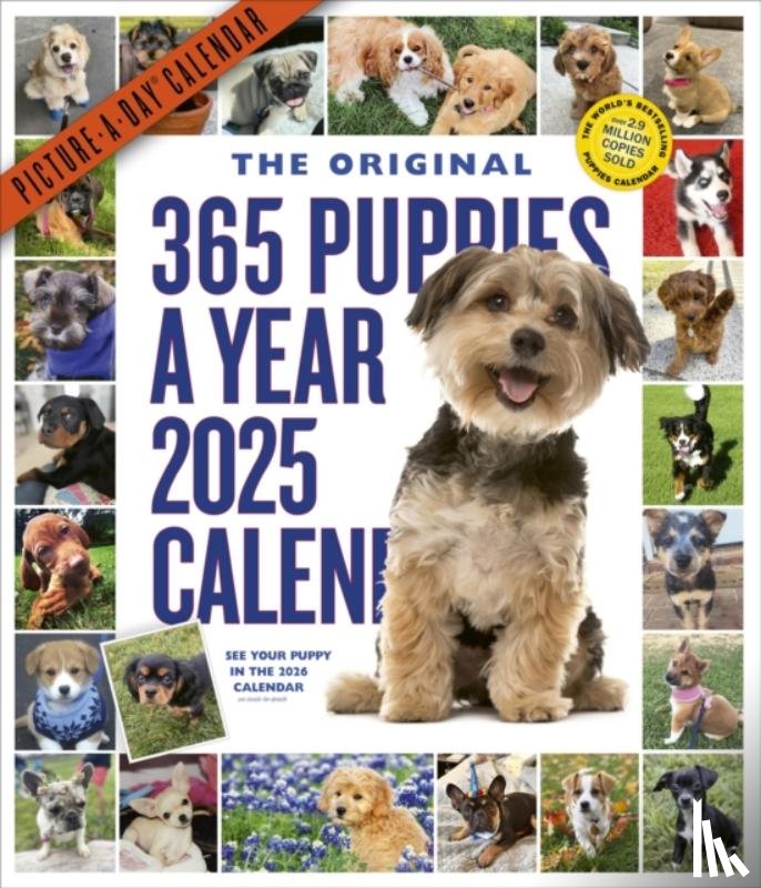 Calendars, Workman - 365 Puppies-A-Year Picture-A-Day® Wall Calendar 2025